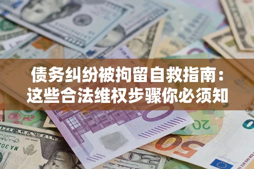 武汉债务纠纷被拘留自救指南：这些合法维权步骤你必须知道！