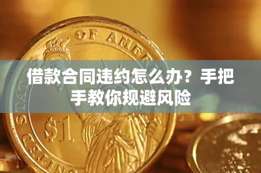 武汉借款合同违约怎么办？手把手教你规避风险