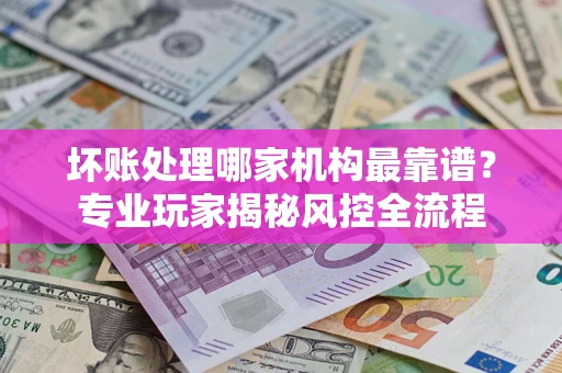 武汉坏账处理哪家机构最靠谱？专业玩家揭秘风控全流程