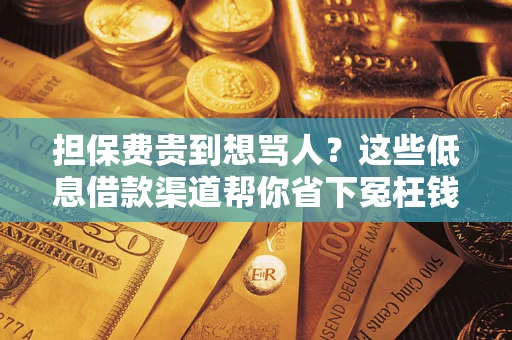 武汉担保费贵到想骂人？这些低息借款渠道帮你省下冤枉钱