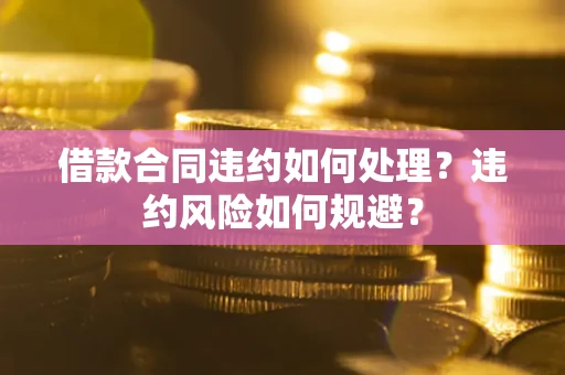 武汉借款合同违约如何处理？违约风险如何规避？