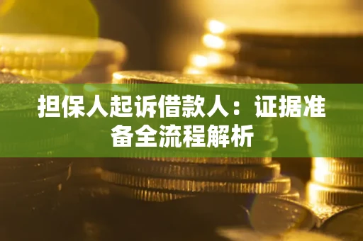 武汉担保人起诉借款人：证据准备全流程解析