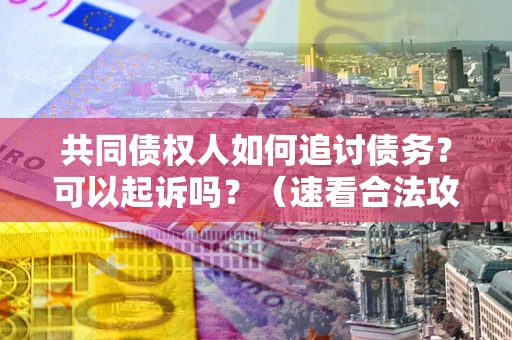 武汉共同债权人如何追讨债务？可以起诉吗？（速看合法攻略）