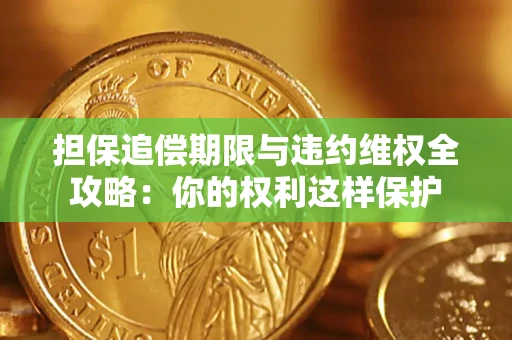 武汉担保追偿期限与违约维权全攻略：你的权利这样保护