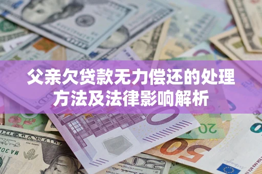 武汉父亲欠贷款无力偿还的处理方法及法律影响解析