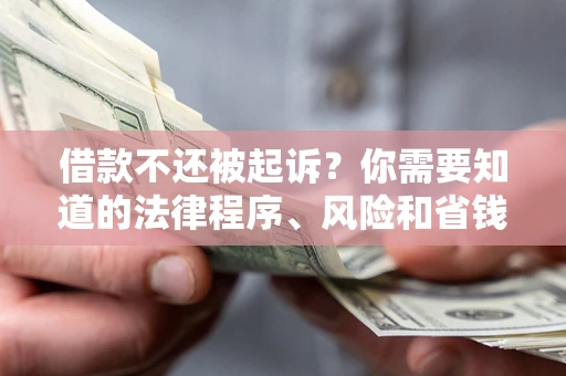 武汉借款不还被起诉？你需要知道的法律程序、风险和省钱技巧
