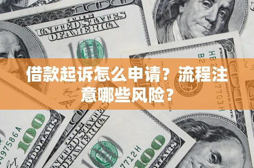 武汉借款起诉怎么申请？流程注意哪些风险？